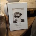 A book titled "Little Book of Audrey Hepburn" sits on a table.