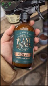 A bottle of plant runner neem oil is being held by a person.