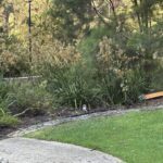 A broken street sign is lying on the ground in a grassy area.