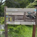 A brown sign with a map of the area is posted on a wooden pole.