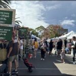 A busy outdoor market with people shopping and walking around.