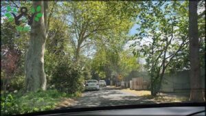 A car is driving down a tree-lined street, passing by a yellow sign.