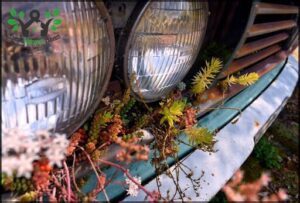 A car with a headlight and a plant growing on it.
