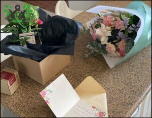 A cardboard box with a pink flower in it sits on a counter.