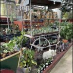 A cart filled with potted plants is parked outside.