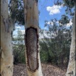 A carving on a tree trunk, possibly a symbol or a design, is visible in the image.