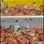 A close up of a dish filled with various vegetables, including carrots and peppers.