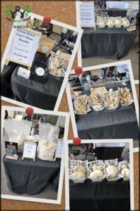 A collage of images showcasing a table full of food, including a variety of mushrooms and other items.