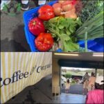 A collage of images showcasing a variety of fruits and vegetables, including tomatoes, peppers, and lettuce, as well as a person holding a basket of produce.