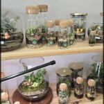 A collection of small glass jars filled with plants and flowers, each with a unique arrangement, are displayed on a wooden shelf.