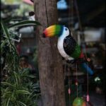 A colorful bird with a rainbow-colored beak is perched on a wooden post.