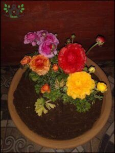 A colorful bouquet of flowers sits in a brown vase, adding a touch of vibrancy to the room.