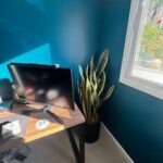A computer desk with a monitor and a plant.