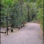 A dirt path in the woods with a sign at the beginning.