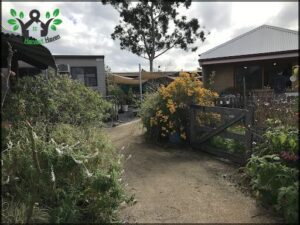 A dirt road leads to a fence and a gate, with a tree in the background.