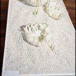 A display of white flowers made of paper.