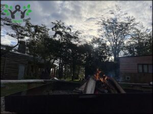 A fire pit with a fire burning in it, surrounded by trees.