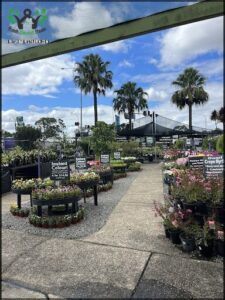 A flower shop with a variety of flowers and potted plants.