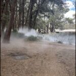 A foggy pathway in a forest with a car wreck in the middle.