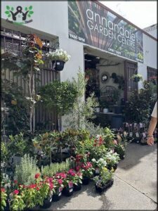 A garden center with a variety of plants and flowers.