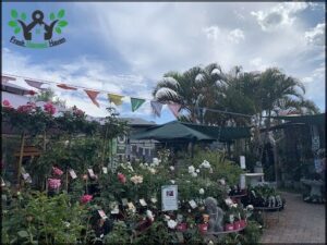 A garden shop with a variety of flowers and plants on display.
