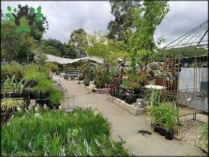 A garden store with a variety of plants and flowers.
