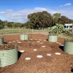 A garden with a circle of plants and a tree in the middle.