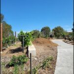 A garden with a dirt pile and a blue sky.