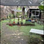 A garden with a table and chairs in the middle.