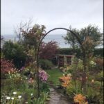 A garden with a variety of flowers and plants, including a beautiful archway.