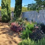 A garden with a variety of flowers and plants, including a purple flower and a tree.