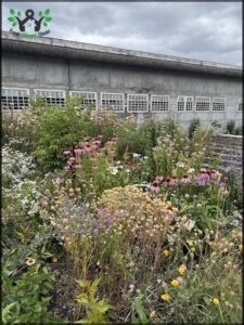A garden with a variety of flowers and plants, including purple flowers and yellow flowers.
