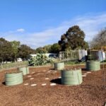 A garden with a variety of plants, including a cactus, is situated in a dirt field.