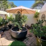 A garden with a variety of plants, including a large tree, is shaded by a pink umbrella.