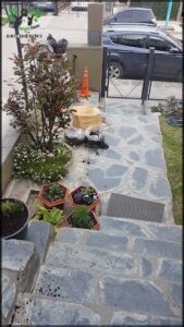 A garden with a variety of plants, including a potted plant with a wooden box on the ground.