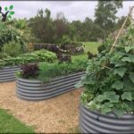 A garden with a variety of plants, including squash and pumpkins, is displayed in a garden.