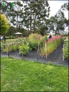 A garden with flowers and bushes is fenced in.