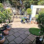 A garden with many potted plants and a blue barrel.