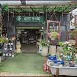 A gift shop with a variety of potted plants and flowers.