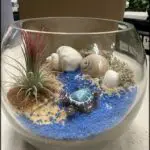 A glass bowl filled with sand and various plants and shells.
