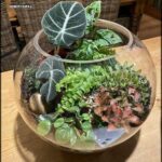 A glass bowl filled with various plants and flowers.
