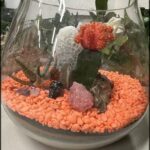A glass vase filled with rocks and a cactus.