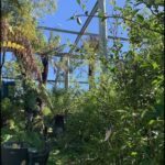 A green garden with a metal structure and a blue sky above.