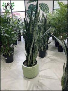 A green pot with a plant in it sits on a white floor.