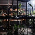 A greenhouse filled with various plants and pots.