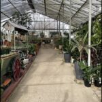 A greenhouse filled with various plants and potted plants.