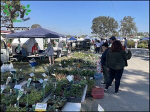 A group of people are gathered around a table with potted plants, likely at a market or event.