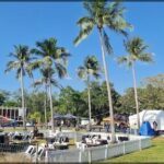 A group of people are gathered in a field, enjoying a day outdoors under the shade of palm trees.