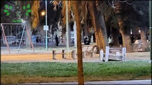 A group of people are gathered in a park at night.