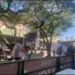 A group of people are gathered under a tree, enjoying the outdoors and the music playing in the background.